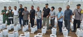 Lounching Greenhouse Melon 2 Lumbung Mataraman Kedungpoh, Walikota Jogja Tanam Melon